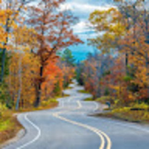 Meet your Posher, Randi